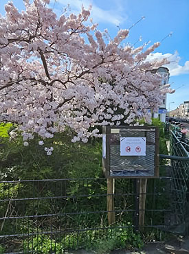 Van de buurtkastjes wordt gretig gebruik gemaakt.